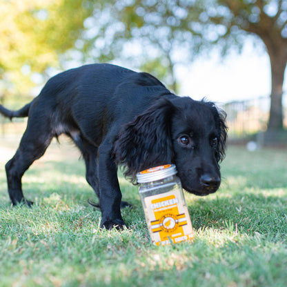 KIWI Walker Friandises pour Chiens Viande Lyophilisée - Agneau
