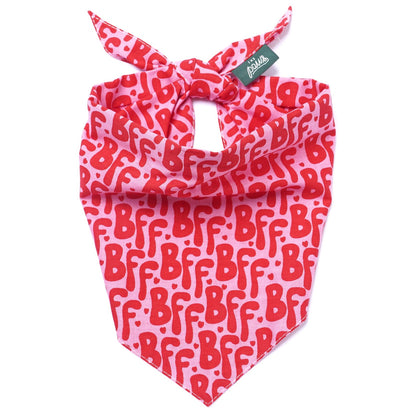 Bandana pour chien - BFF - The Paws