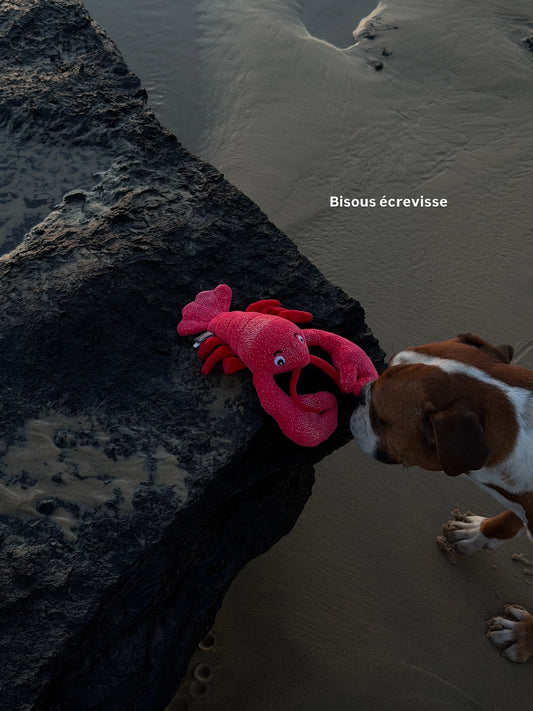 Jouet pour chien Homard “Leonardo Da Pinchi” – Petshop by Fringe Studio