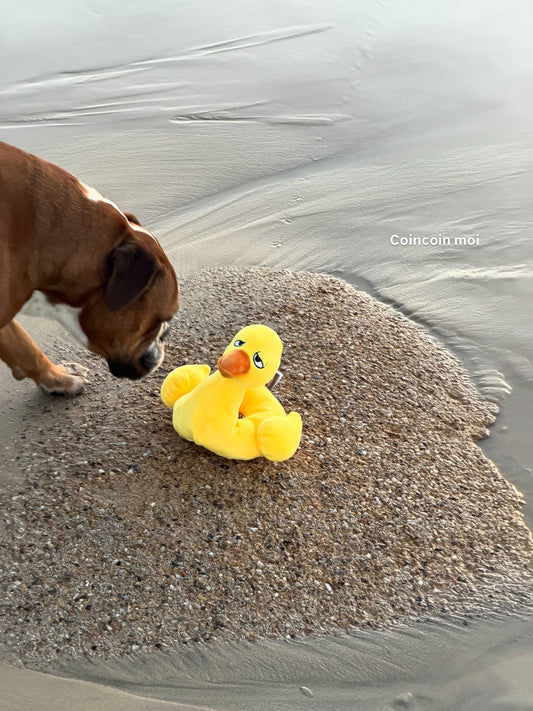 Jouet pour chien Canard en peluche – Petshop by Fringe Studio