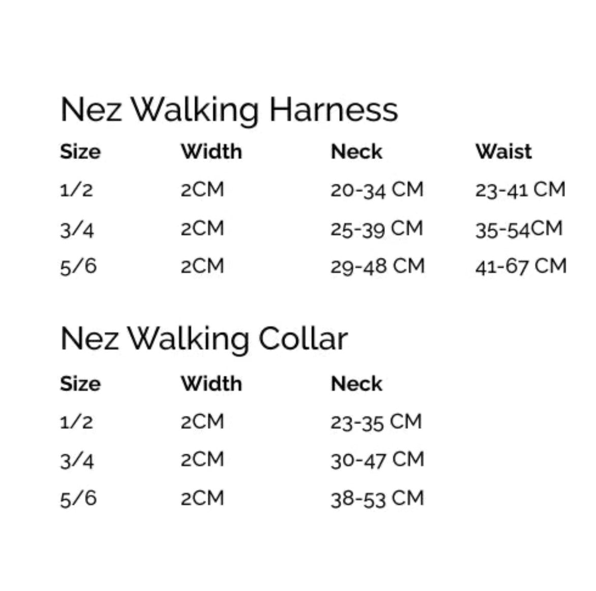 Collier pour chien orange & violet - Furmey