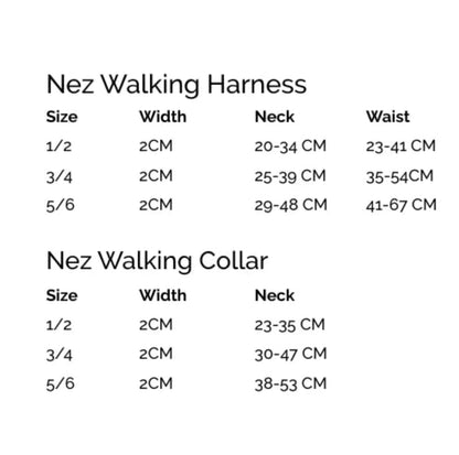 Collier pour chien orange & violet - Furmey