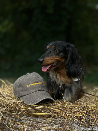 CASQUETTE Grognasses - Grogne Store