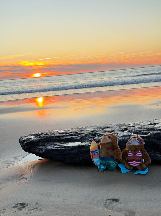 Jouet pour chien Paresseux Surfeur – Petshop by Fringe Studio