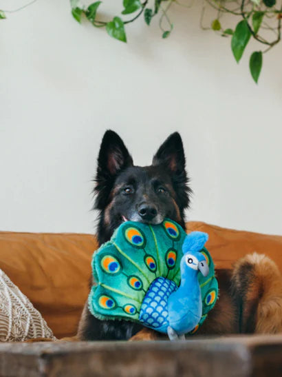 Jouet en peluche pour chien - Fetching Flock - Paon - Pet PLAY