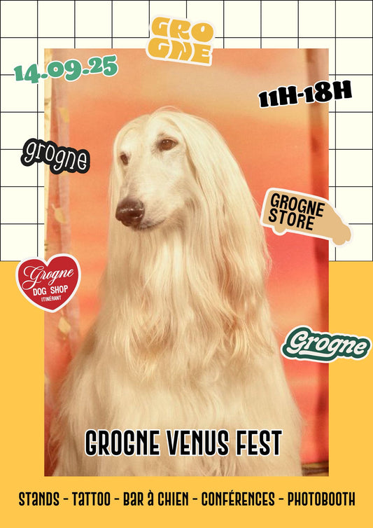 GROGNE VENUSFEST - 14.09.2025 - BORDEAUX