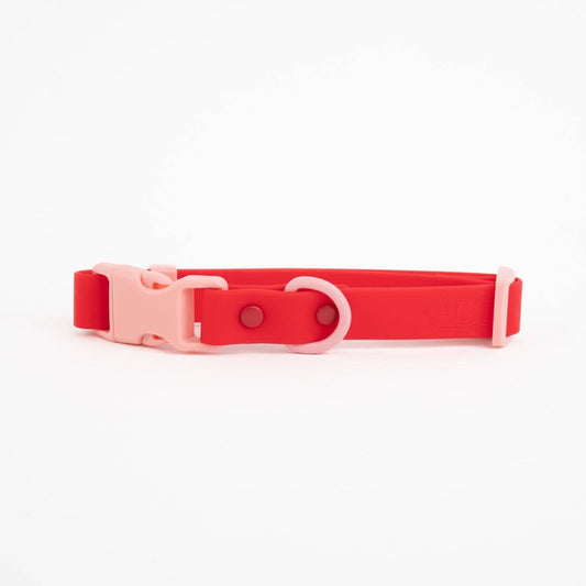 Le collier pour chien Fritz : Rouge & Rose