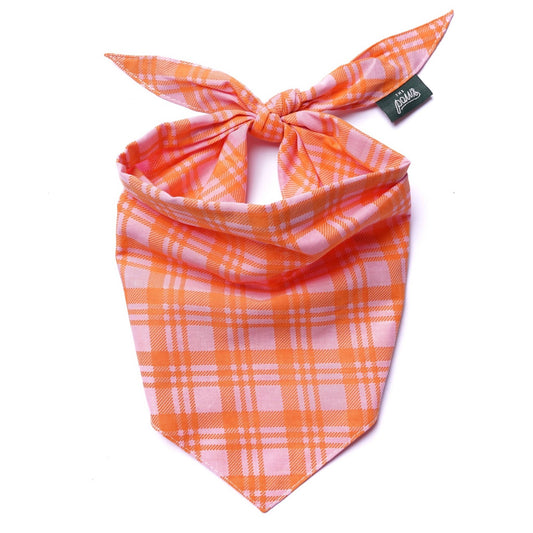 Bandana pour chien Stevie -  The Paws