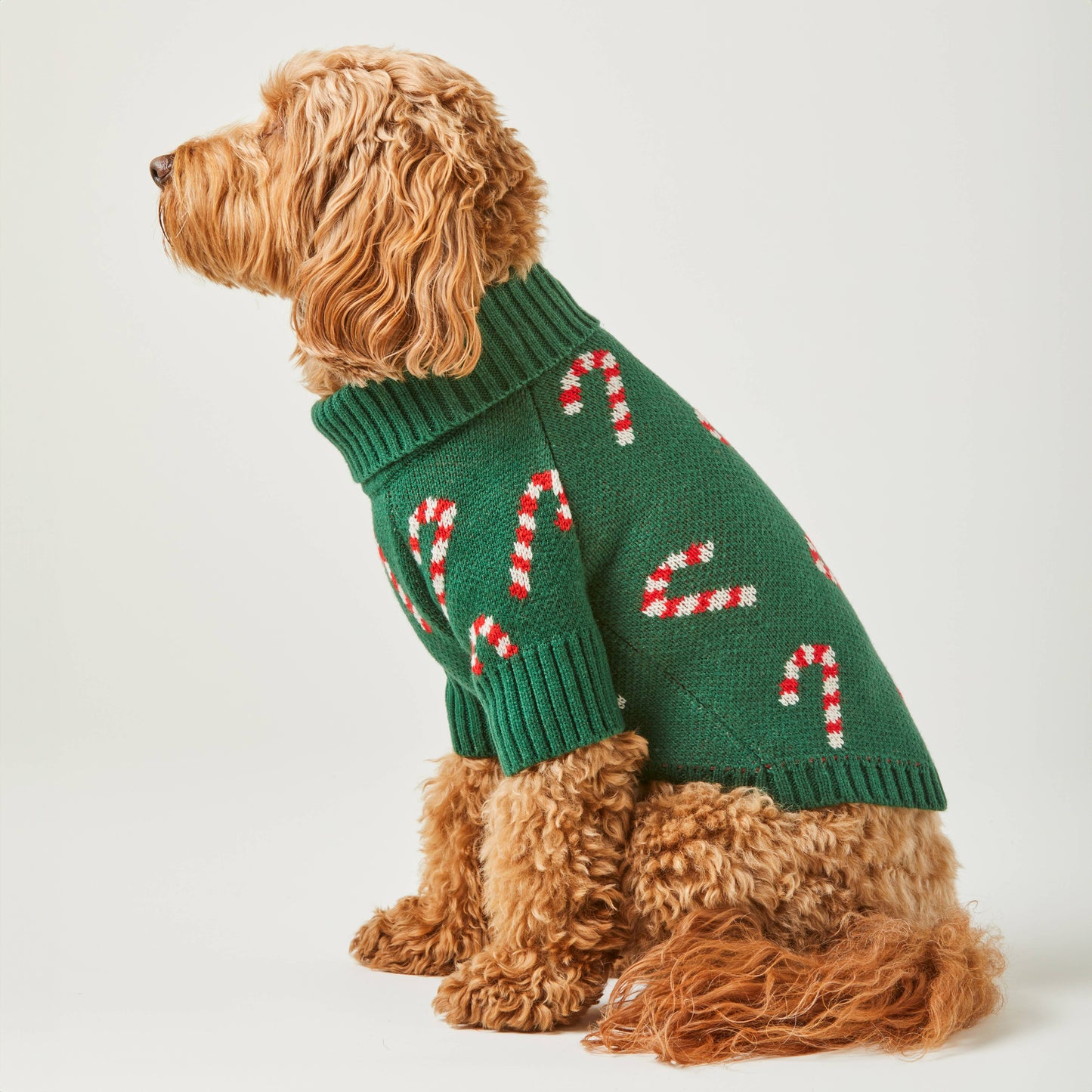 Pull pour chien en bonbon de Noel - Vert