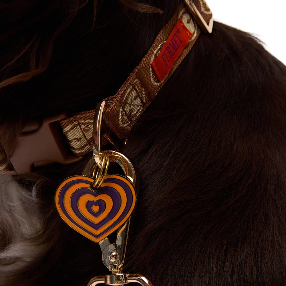 Collier pour chien beige - Furmey