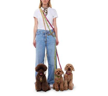 Laisse mains libre pour chien beige - Furmey