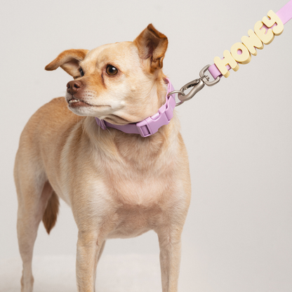 Charms pour chiens en silicone - Jaune Beurre - Springerland Pets