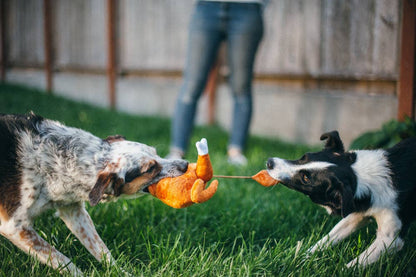 PELUCHE POUR CHIEN - DINDE DE NOEL🍗