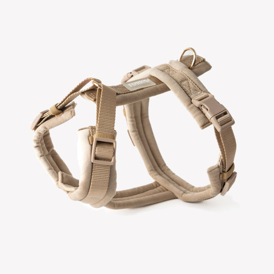 Harnais pour chien en velours - Sable - Furlou