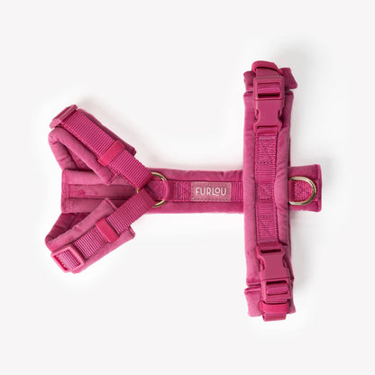 Magenta - Harnais pour chien en velours - Furlou