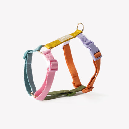 Harnais pour chien - Arc-en-ciel - Furlou