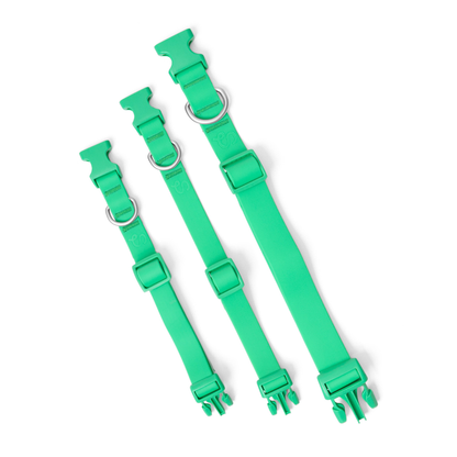 Collier pour chien imperméable - Avoine - Springerland Pets