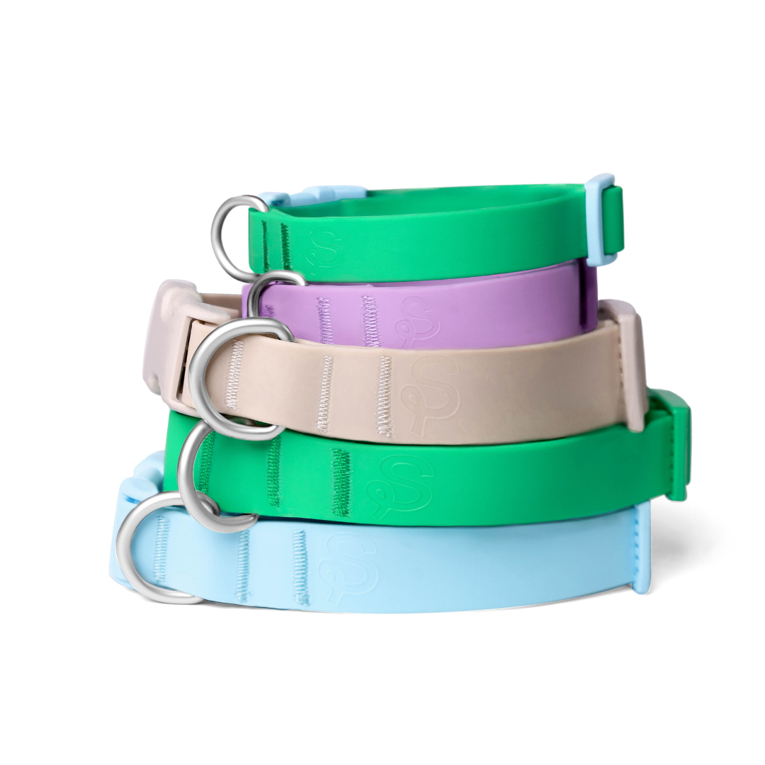 Collier pour chien imperméable - Vert - SPRINGERLAND PETS