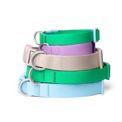 Collier pour chien imperméable - Vert - SPRINGERLAND PETS