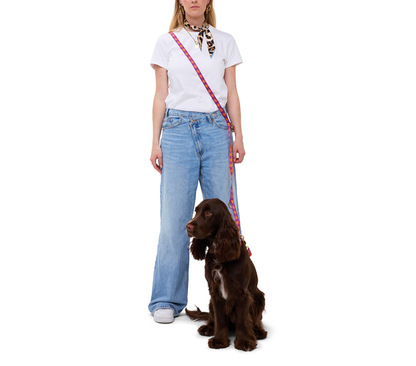 Laisse main libre Orange & Violet - Furmey