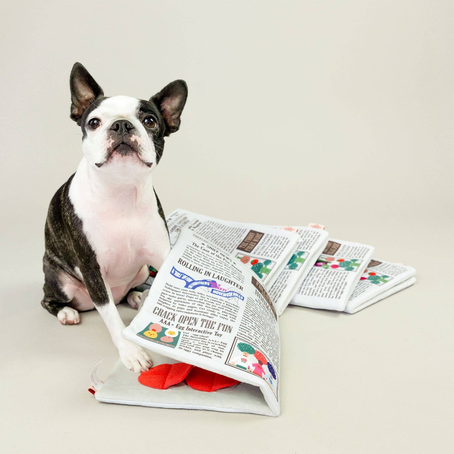 Jouet Papier Journal - Tapis de fouille - The FurryFolks