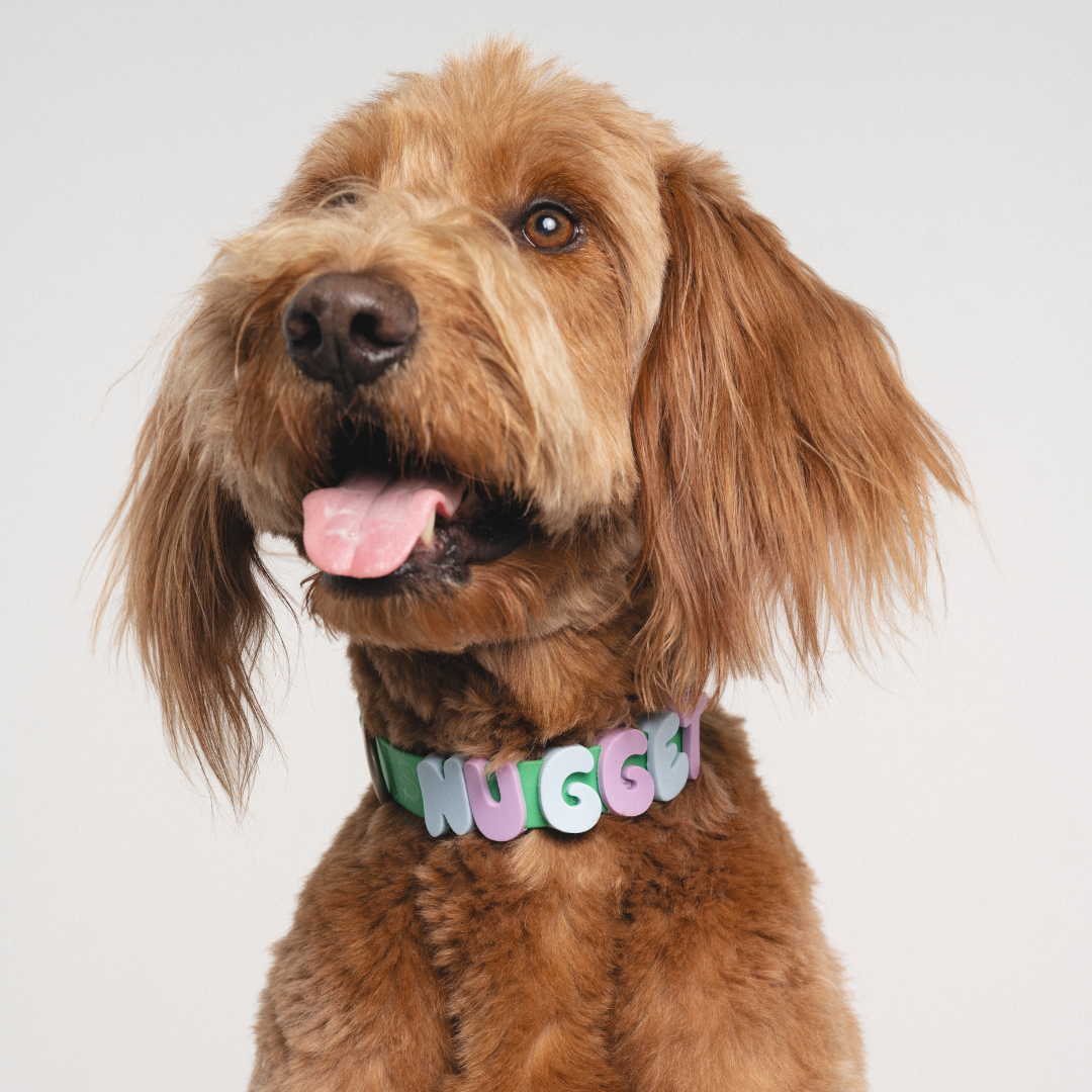 Charms pour chiens en silicone - Jaune Beurre - Springerland Pets