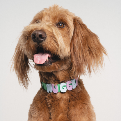 Charms pour chiens en silicone - Lilas -  SpringerLand Pets