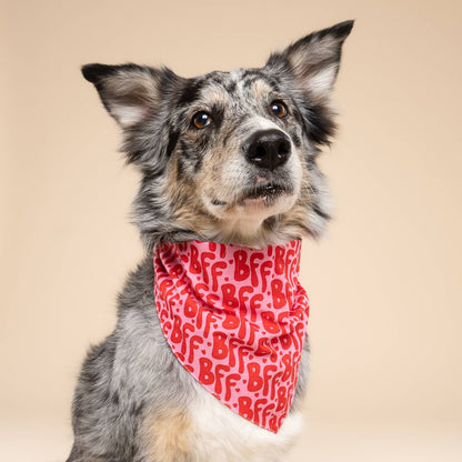 Bandana pour chien - BFF - The Paws