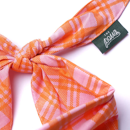 Bandana pour chien Stevie -  The Paws