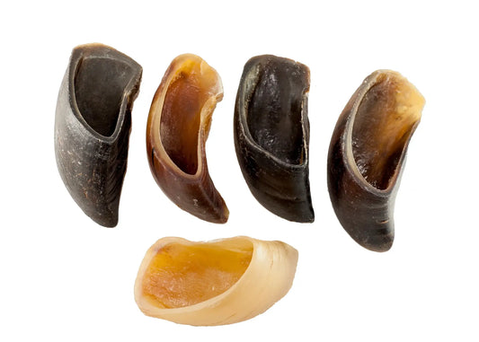 Sabots de bœuf pour chien