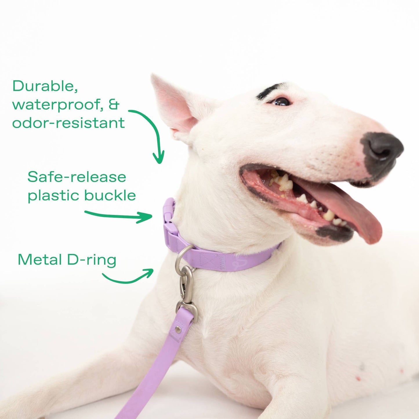 Collier pour chien imperméable - Rouge - Springland Pets