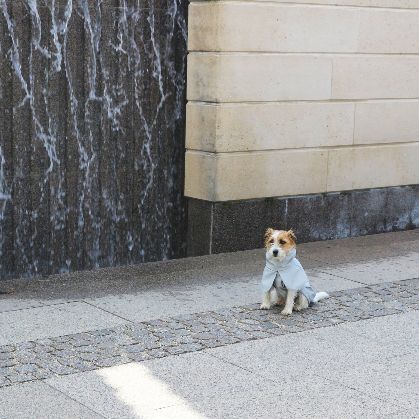 Imperméable pour chien gris clair - Tadazhi