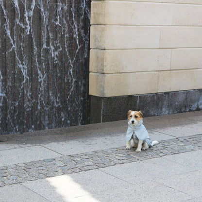 Imperméable pour chien gris clair - Tadazhi
