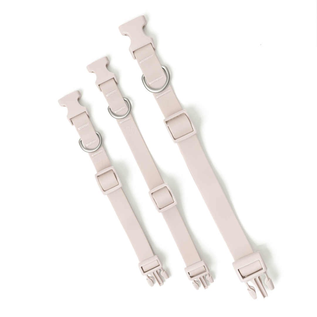 Collier pour chien imperméable - Avoine - Springerland Pets