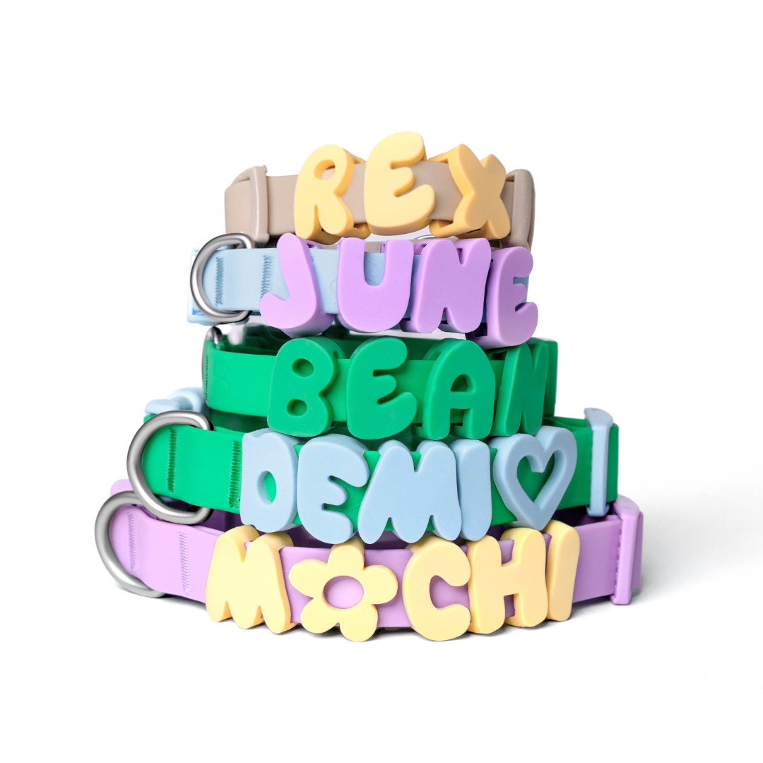 Charms pour chiens en silicone - Jaune Beurre - Springerland Pets