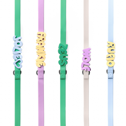 CHARMS POUR CHIENS EN SILICONE - VERT - SPRINGERLAND PETS