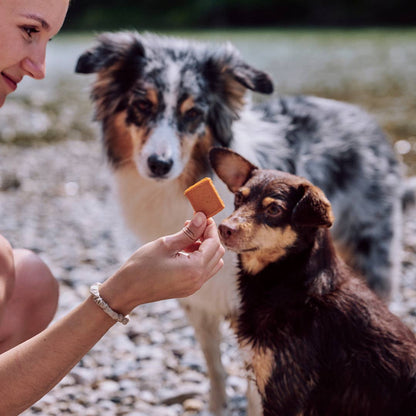 Friandises bâtonnet Vegan pour chien - Jerkeys - Vegdog