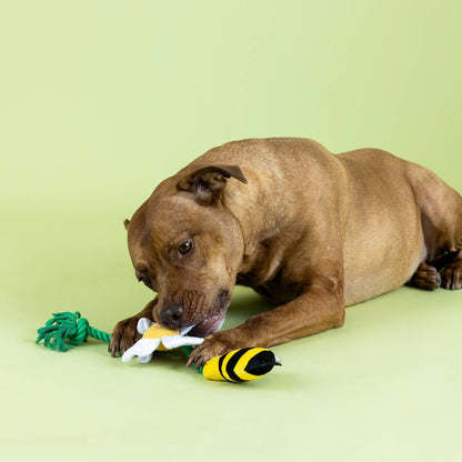 Jouet pour chien Fleur & Abeilles à tirer – Petshop by Fringe Studio