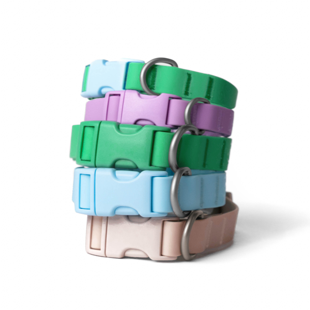 Collier pour chien imperméable - Lilas - Springerland Pets