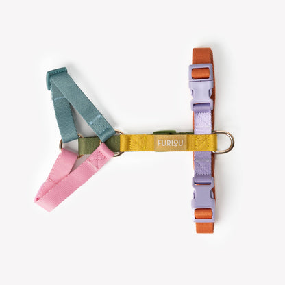 Harnais pour chien - Arc-en-ciel - Furlou