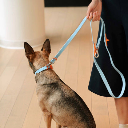 Le collier pour chien Fritz : Rouge & Rose
