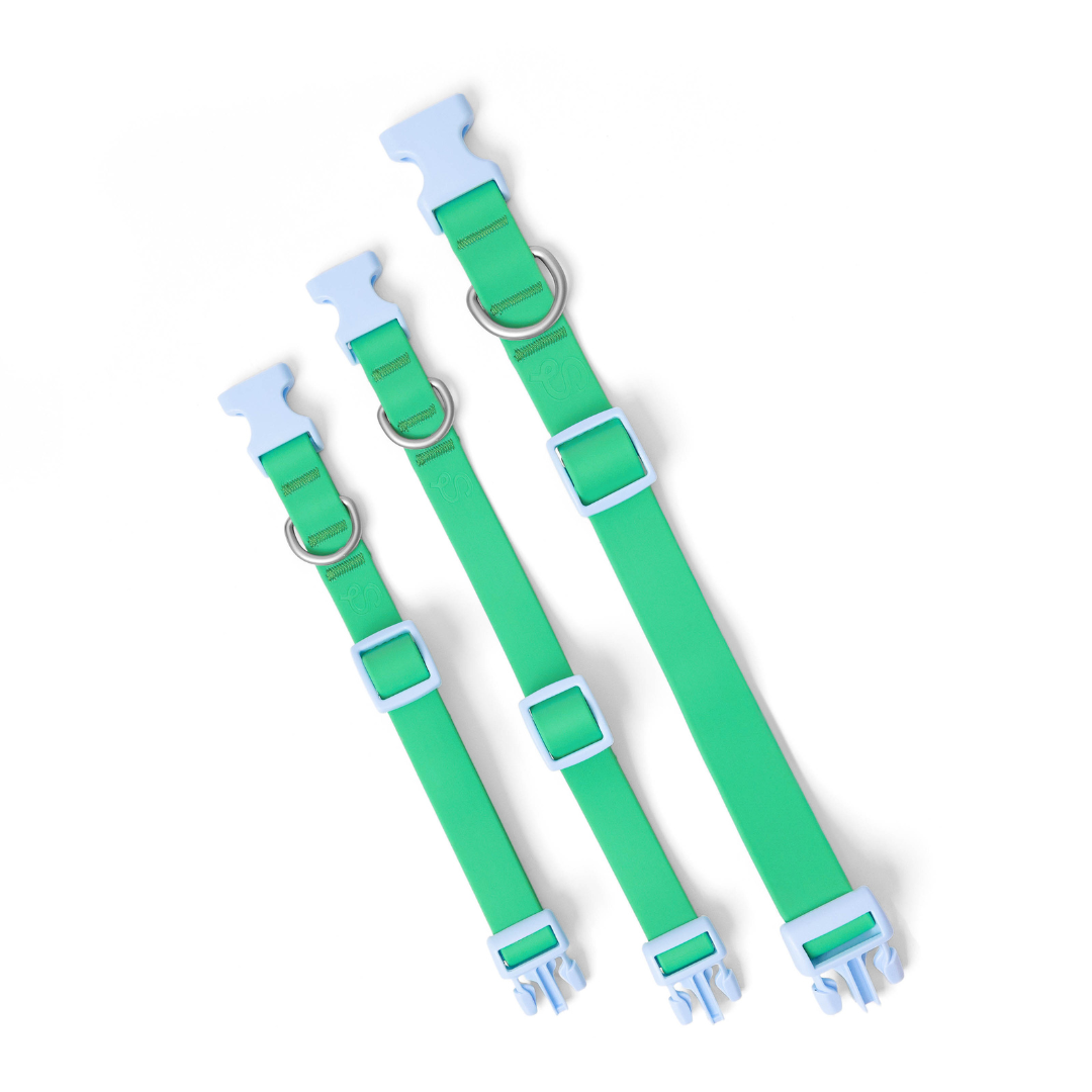 Collier pour chien imperméable - Vert - SPRINGERLAND PETS