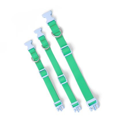 Collier pour chien imperméable - Vert - SPRINGERLAND PETS