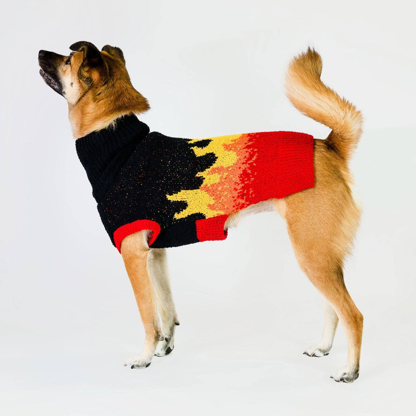 Pull pour chien à flamme - The FurryFolks