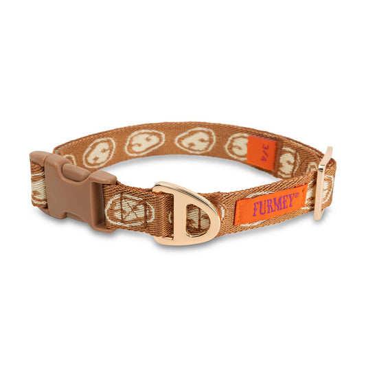 Collier pour chien beige - Furmey