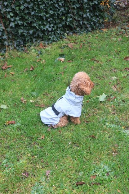 Imperméable pour chien gris clair - Tadazhi