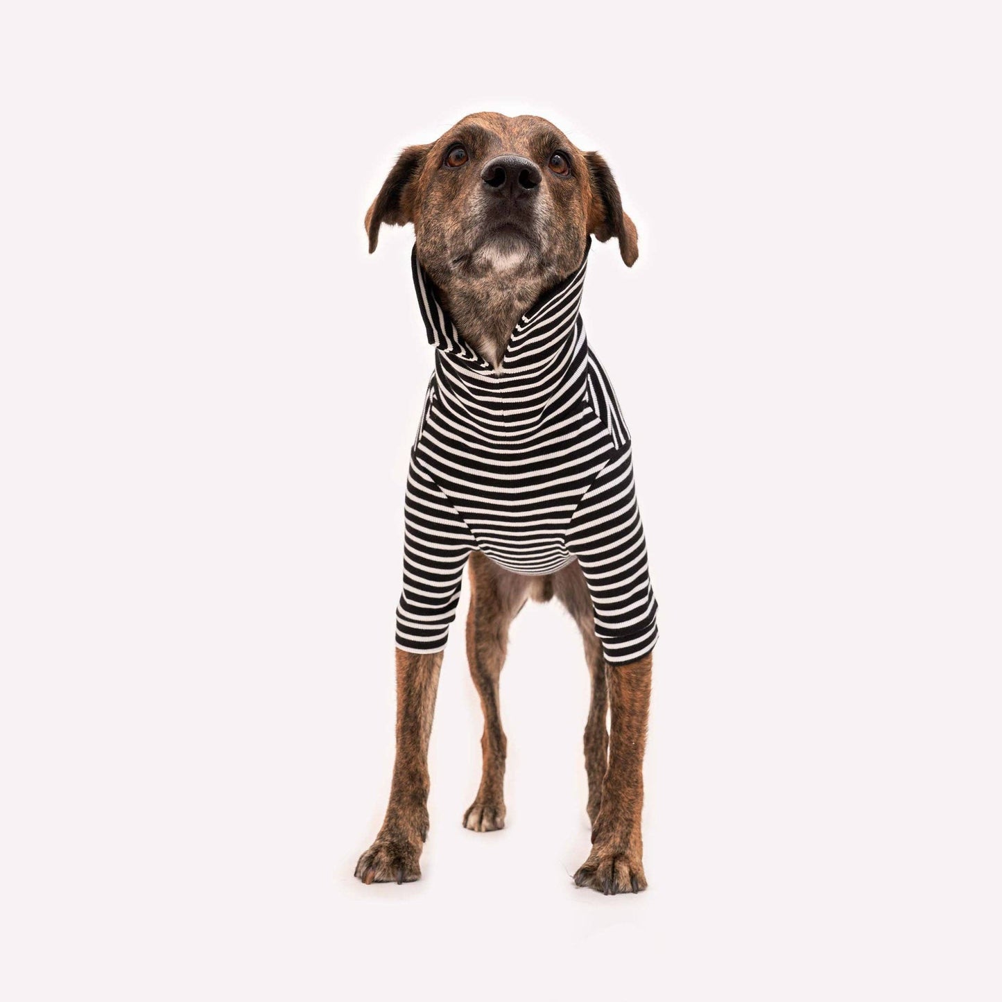 Pull pour chien à rayures - Noir et blanc - The Furryfolks