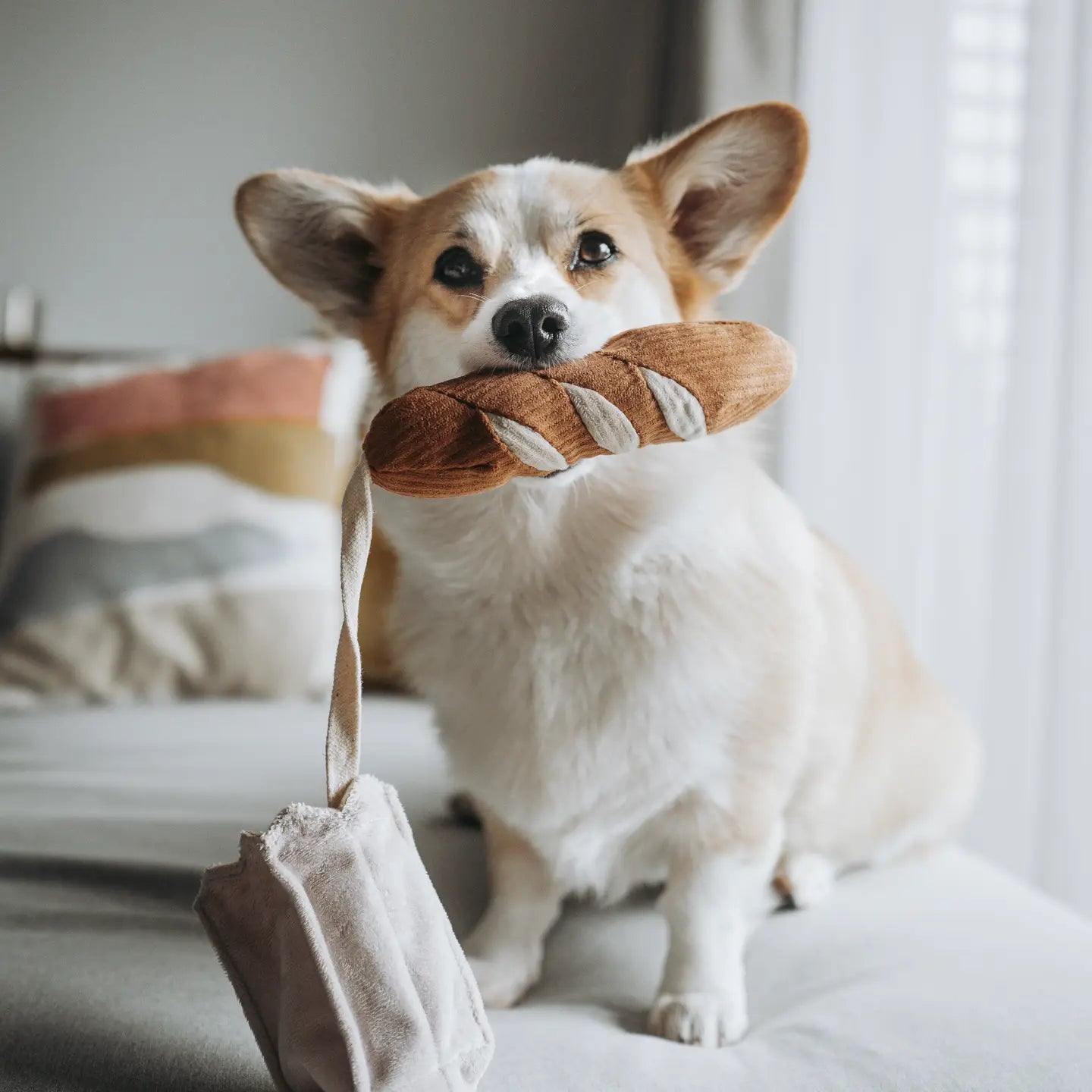 Peluche Mini Baguette 🥖