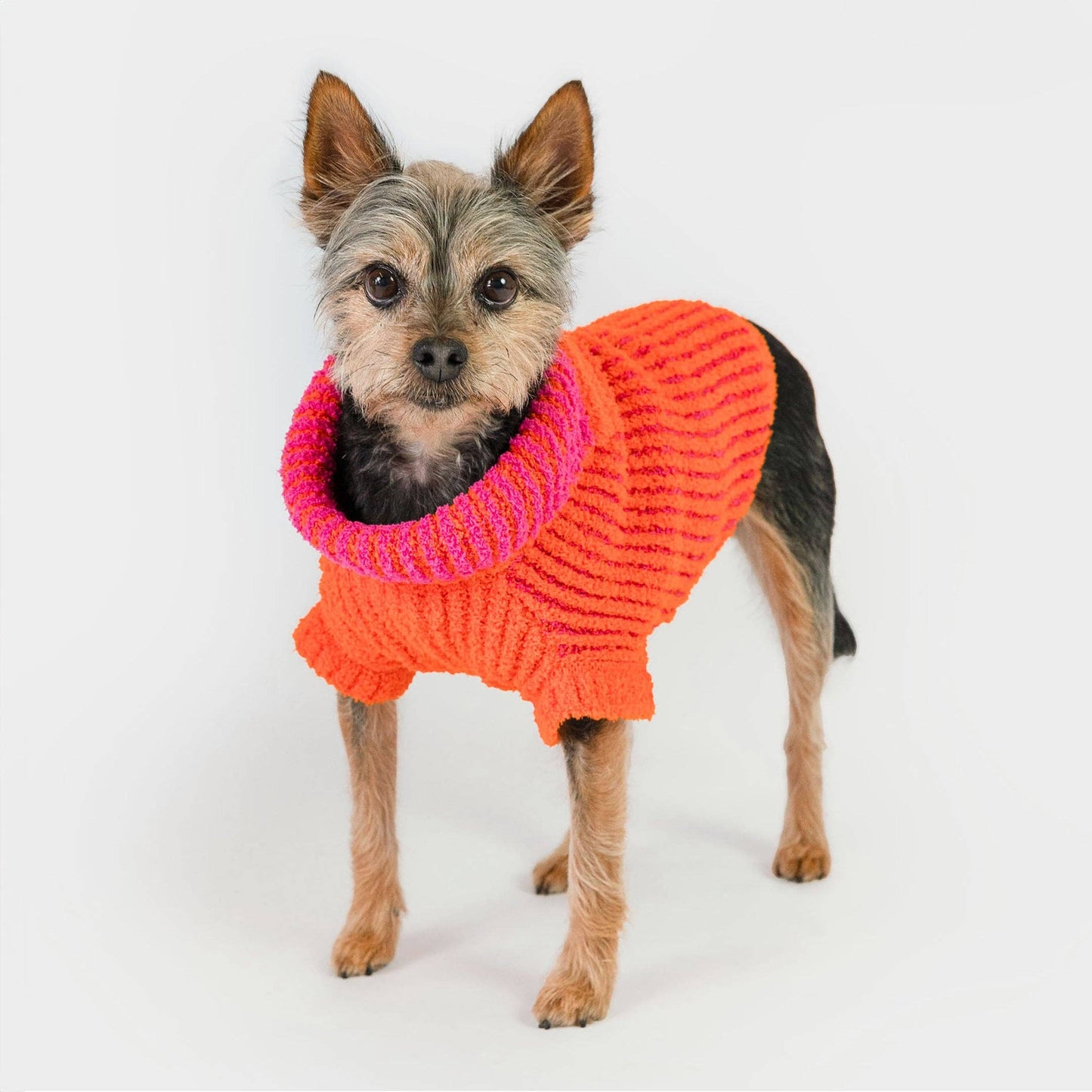 Pull côtelé pour chien - Orange & Rose - The Furryfolks