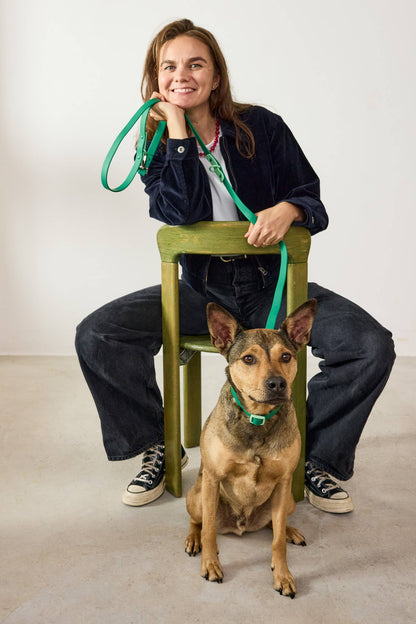 LE COLLIER POUR CHIEN - chocolat & BLEU - APPROVED BY FRITZ